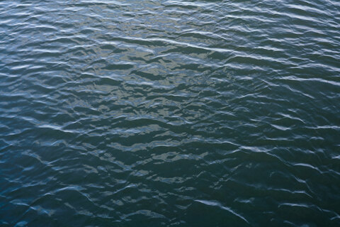 299d17c2c4c48323989baf0134ea10ad