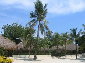 83c2d663389d3339edebccffa837e316