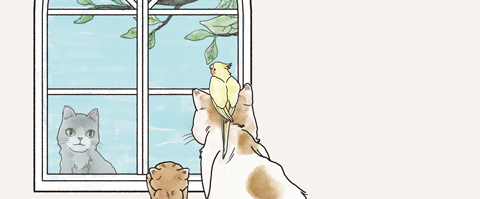 7252ac72908b0129c3199c9c626bb197