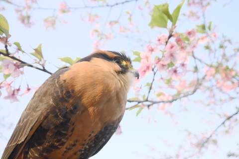 39ee91fe32298b6f4cd7929250f6f396