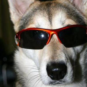 6dbe39c6e7ad69e1b6715653312b9b4a