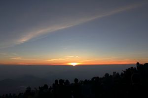 466036d6206d24184ffbda7f3e12d95d