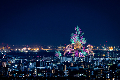 4e02a46c665a7a4ecdf6cfc56feef3de