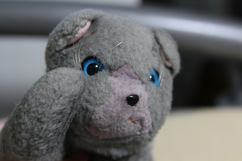 72c2fc69cbd2763dadf393511d8e8b14