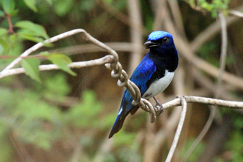 787dab64e1b08cf792f1892bc012602b