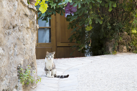 735e57020dccceb6ade745451fb715af