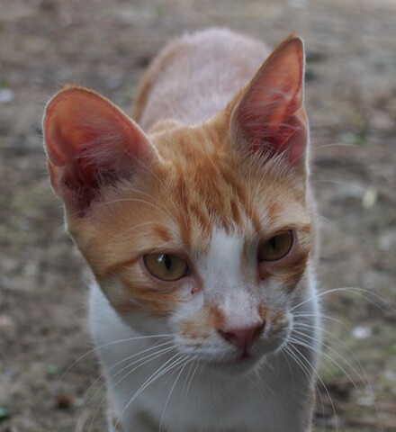 5afaf5a3df0c0da658b4842799b55cac