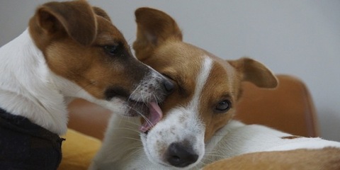 13c93b263a2f5d00c32ef2df87f63ba9