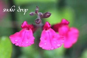 2ef84d574c31a262f011317b9c07c3e0