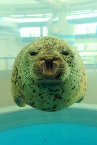 33428517a5a276d179218720f9fb301d