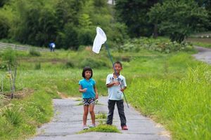 D4a109133a4093049e7dea91122b566e