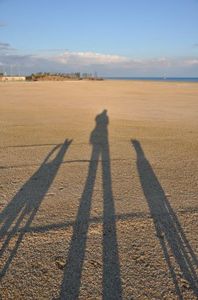 1224391e1e093da48f7420faa7e6cea4