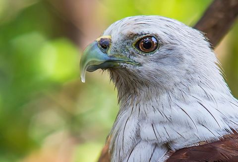 1955bcae9644b7fd29301ad00fdb33a5