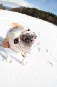 E846e6944bbd17ed99b9231a6fa80dc2