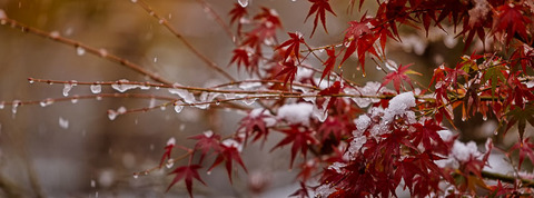 38284d4a3cf17904c0f1423c161e3a52