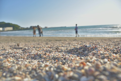 D421e4b82fb5d8cf82296853dfecc9b0