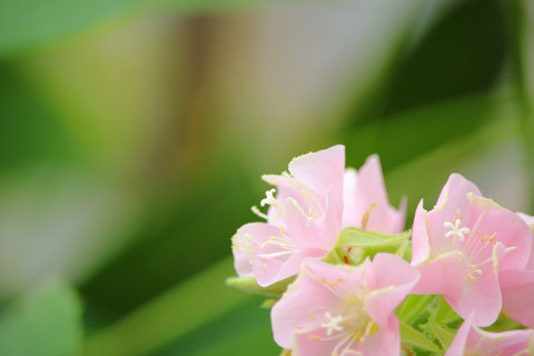 3954c225cf361690555b57d47b9a6f2b