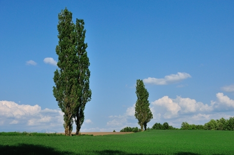 D0ab2be69e12bbdd77ac21deeea5fd4f