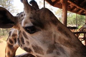 D4a88f28337d5edf1f7ee719ef605c00