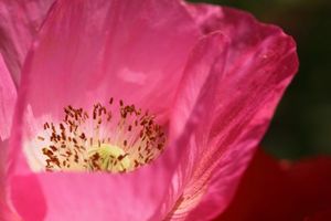 66cf21081ce5137a692c39dd59f82302