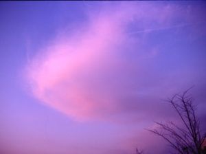 E38d8285545430422304acc67073513b