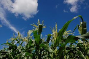 D892f2eaf9ad89c1e02c8094e60f08da