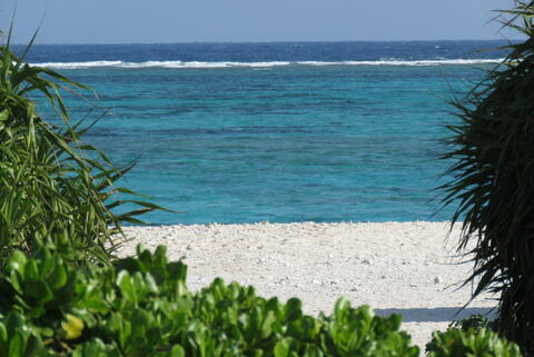 C79cecc14bed967db86b9aefcfa0759a