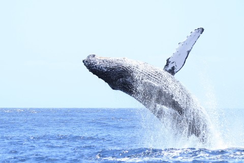 7588c9a94f15440b334891a4cde147cf