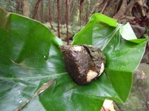 1da0369f75ec00d919163290dbb9c807