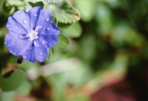 A0b82a523d989380f72bd9581fcb1c9e