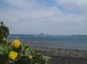 0d4a172f6f10deb4b60c6023b53702d6