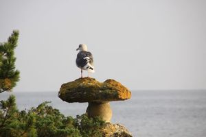 0e65c5c2905b9b74384700f0c406fea8