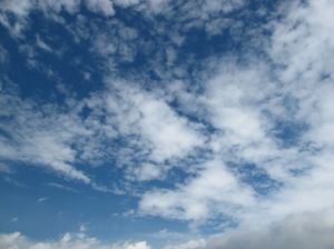 C7916e8c6eb1ad4d308c792ea6a2b2d8