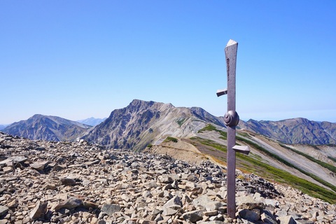 8a1995772b8e2dc69abb54a1fe789761