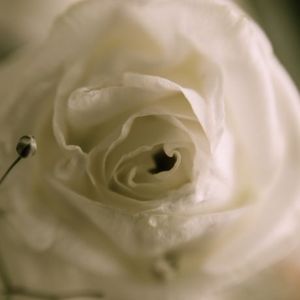 23f5e12077469287f86354b2eaf9717c