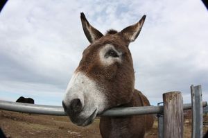 2adaaf2b1d7b9e79bc4294cdebd675c8