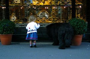 6737e75fce56edb5e46cb4978cb37a7a