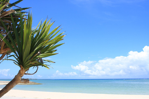 465b56a81b1258f6cbc563ca6573d55d