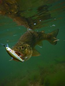 6410e38f6dfadae8f5ea9b92a595687e