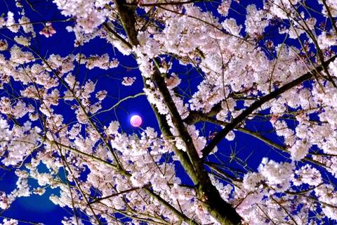 89f8cf6c0c12a4d1f145a4655a227af4