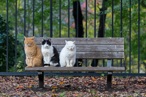 34f77066e1b5056026a8d1a26f4f4a08