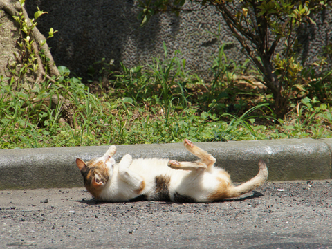 45f0f0e13fb44b915167a6287a856c48