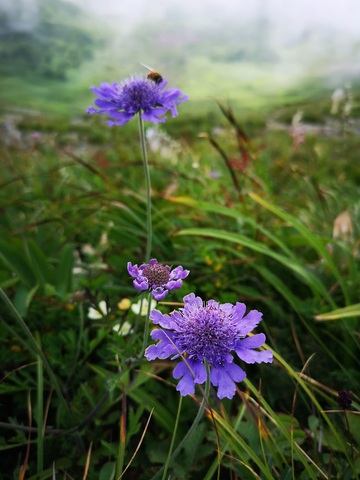 19f63ab1dd2711edc71c889849ca20b4