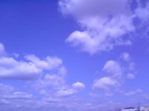 E6a565df399022eb2e04ce0715501e56