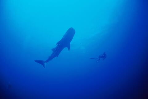 7fd1ae5d90f3e68921eeef82d878ea55