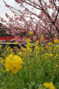 6950593447dee633c04c2204935944dc