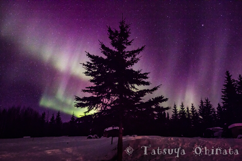 D456f0dd2f1ee7620fe4d2b85f7362ad