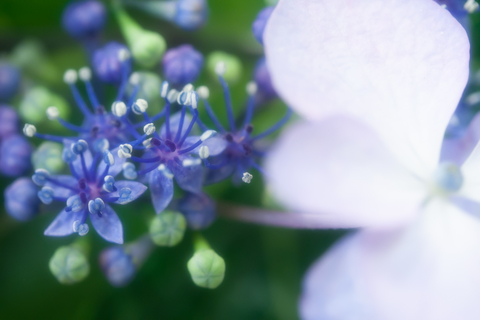 724e47e541cfccdaedba7de5767b96ac