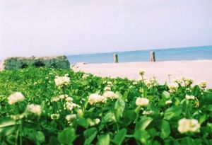 Eae28eaa6f844e0fd1ad3187b149f2eb