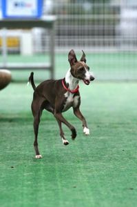 Cdfa79b26398f7b33037725b0c442ee9